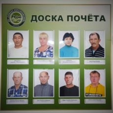Восемь сотрудников АО «Совхоз Корсаковский» занесены на Доску почета за особые заслуги перед Обществом
