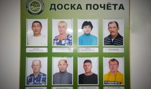 Восемь сотрудников АО «Совхоз Корсаковский» занесены на Доску почета за особые заслуги перед Обществом
